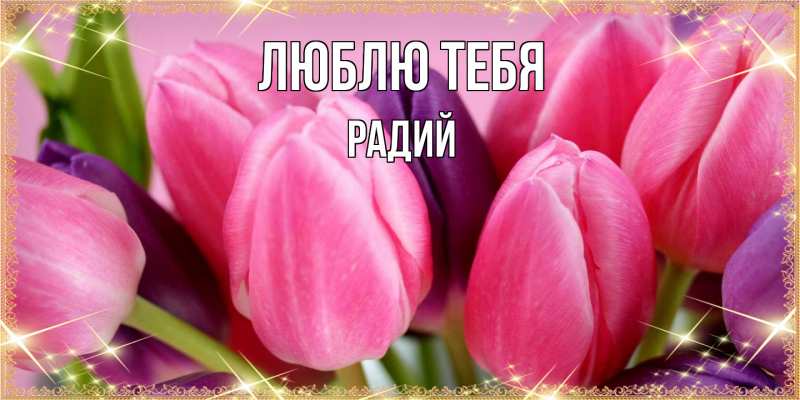 Картинка Люблю тебя, Радий