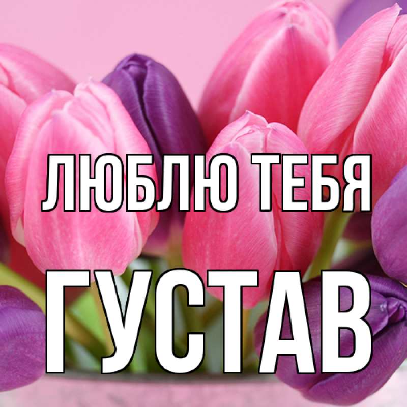 Картинка Люблю тебя, Густав