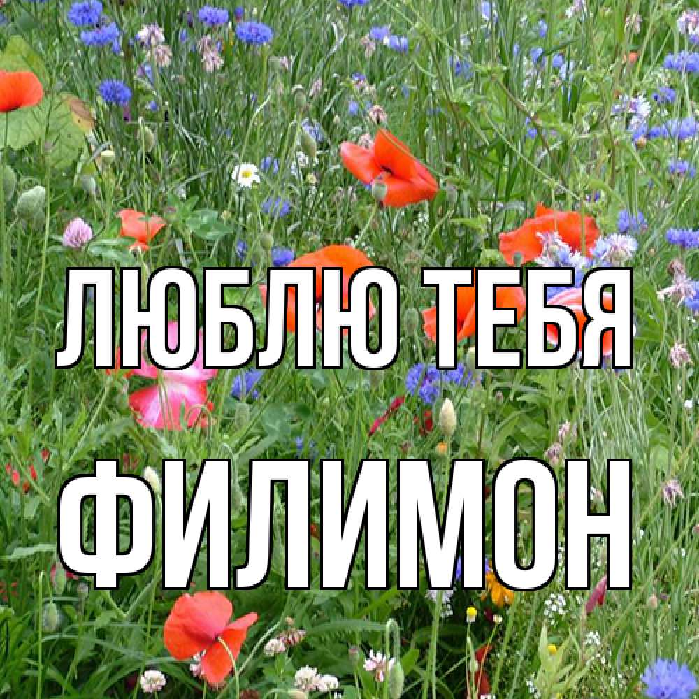 Открытка на каждый день с именем, Филимон Люблю тебя международный женский день 4 Прикольная открытка с пожеланием онлайн скачать бесплатно 