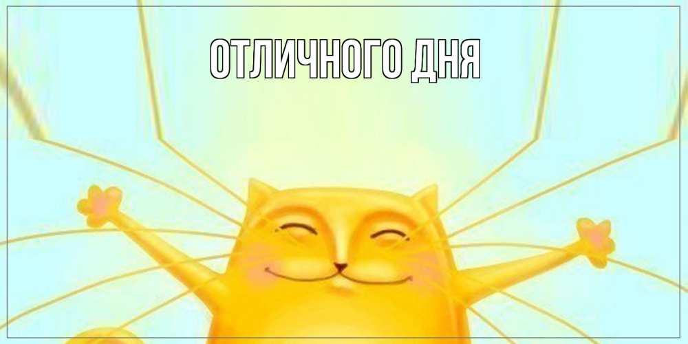 Открытка на каждый день с именем, Юрий Как дела кот Прикольная открытка с пожеланием онлайн скачать бесплатно 