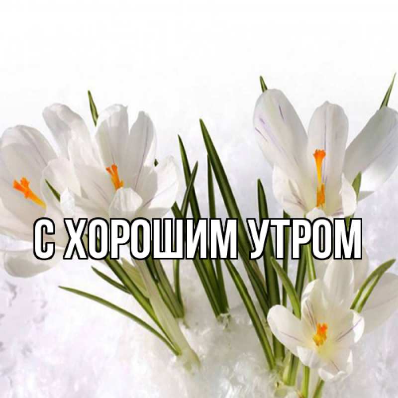 Картинка Люблю тебя, Иван