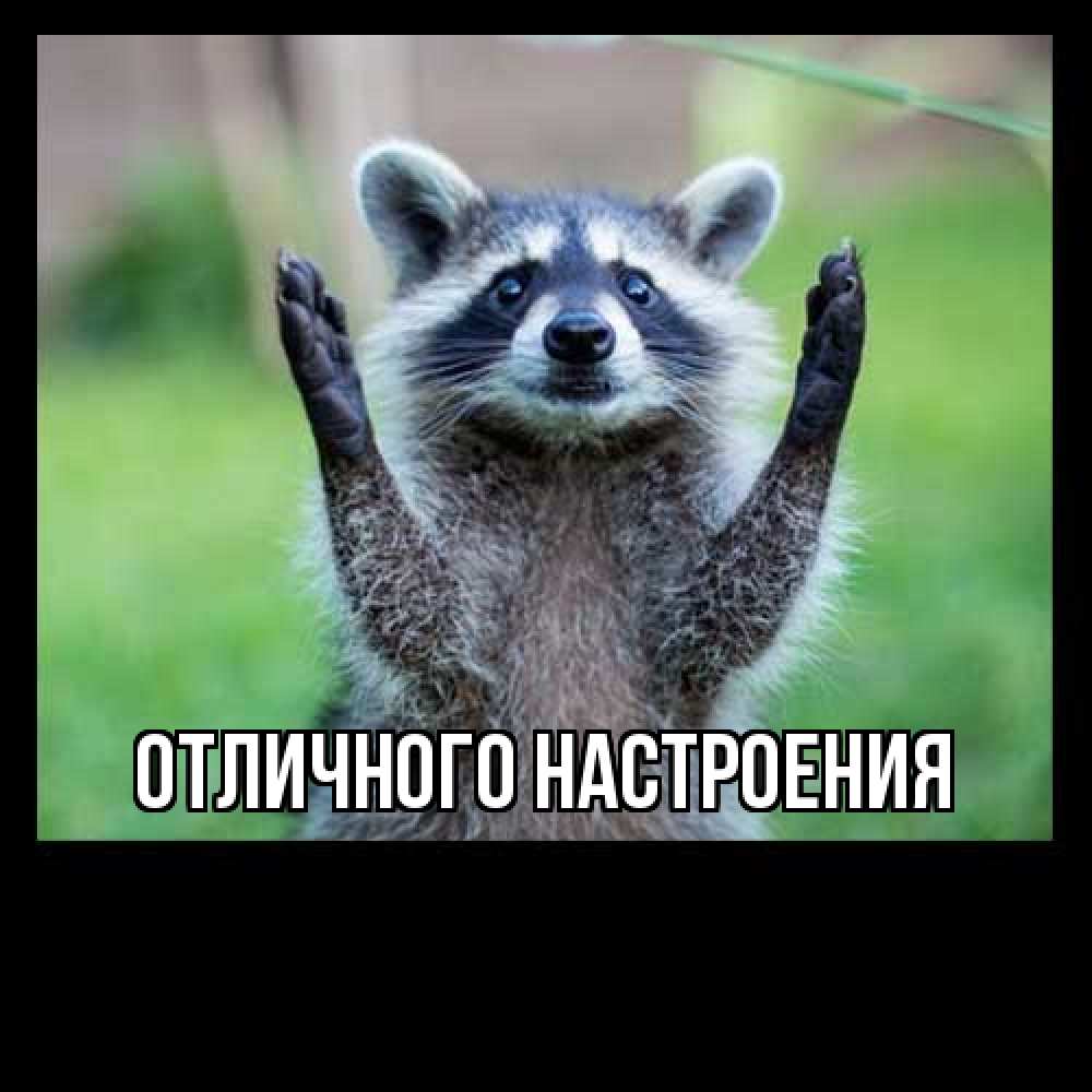 Открытка на каждый день с именем, Лида Большое спасибо милые животные Прикольная открытка с пожеланием онлайн скачать бесплатно 