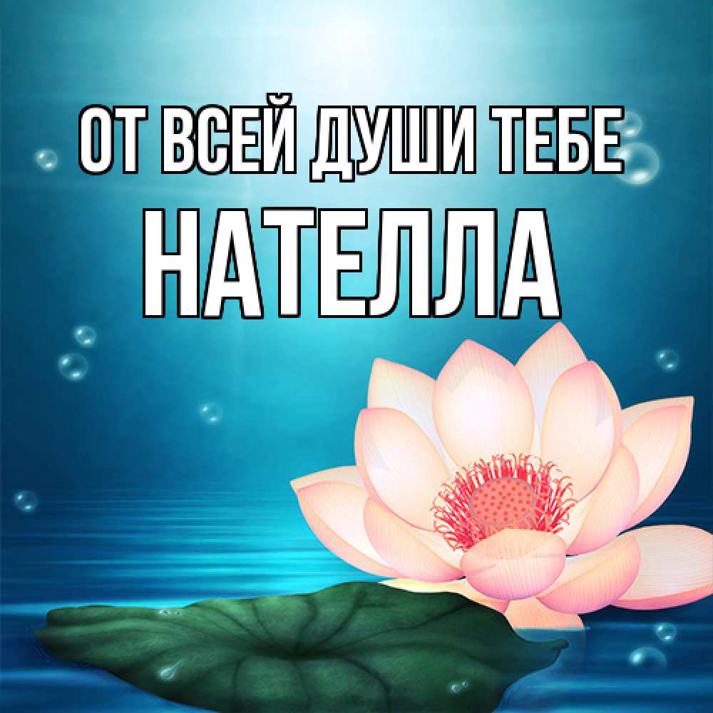 Открытка на каждый день с именем, Нателла От всей души тебе кувшинка Прикольная открытка с пожеланием онлайн скачать бесплатно 