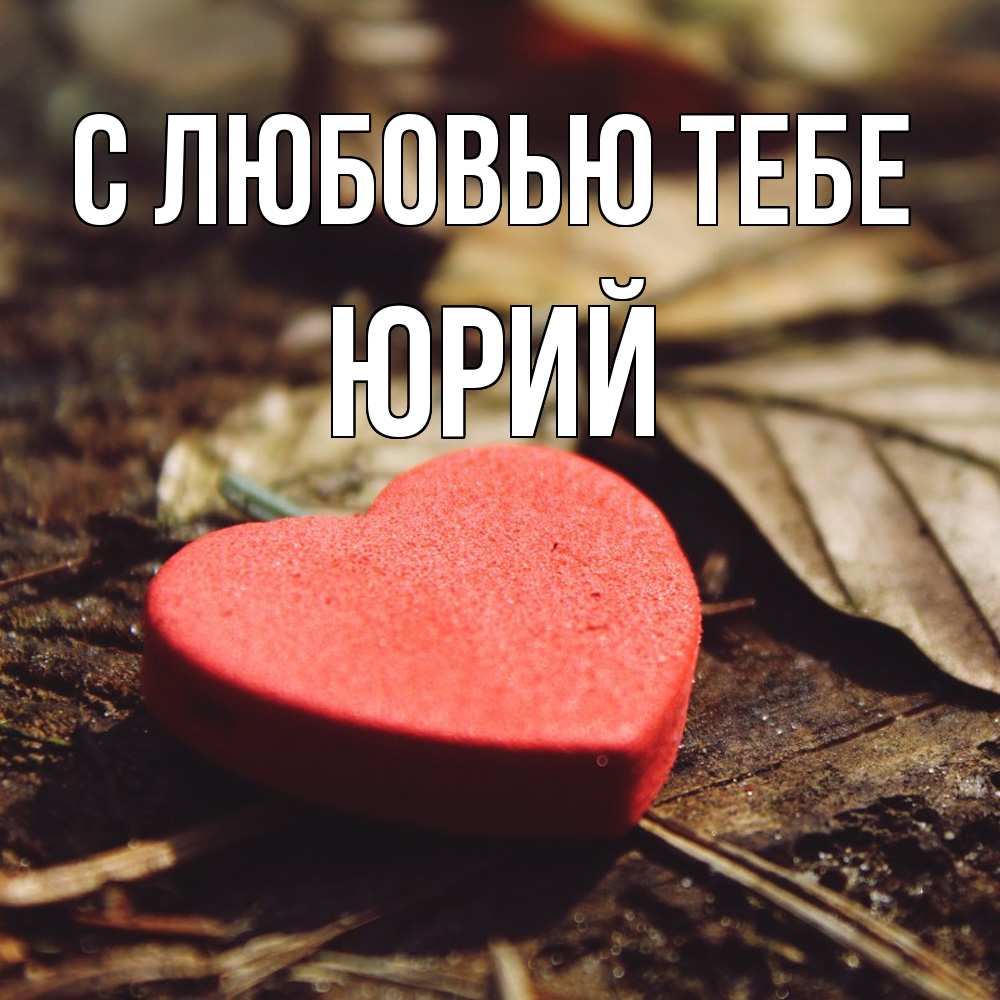 Открытка на каждый день с именем, Юрий С любовью тебе листья деревье 4 Прикольная открытка с пожеланием онлайн скачать бесплатно 