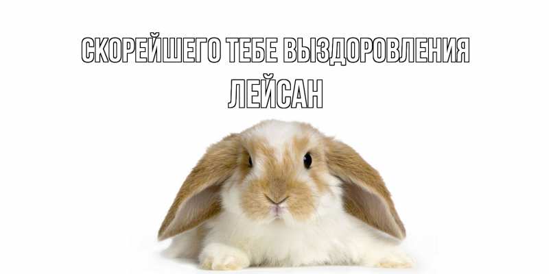 Картинка Скорейшего тебе выздоровления, Лейсан