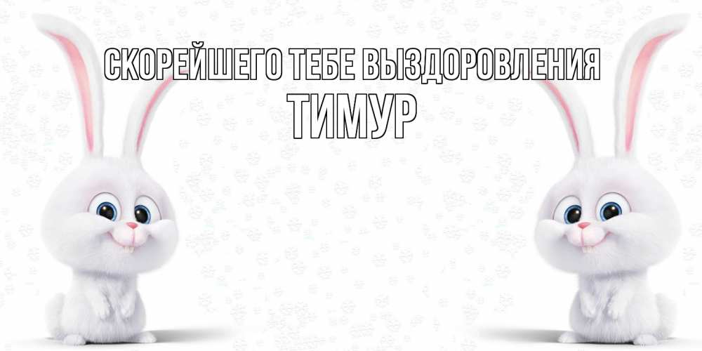 Открытка на каждый день с именем, Тимур Скорейшего тебе выздоровления не болей с зайцем Прикольная открытка с пожеланием онлайн скачать бесплатно 