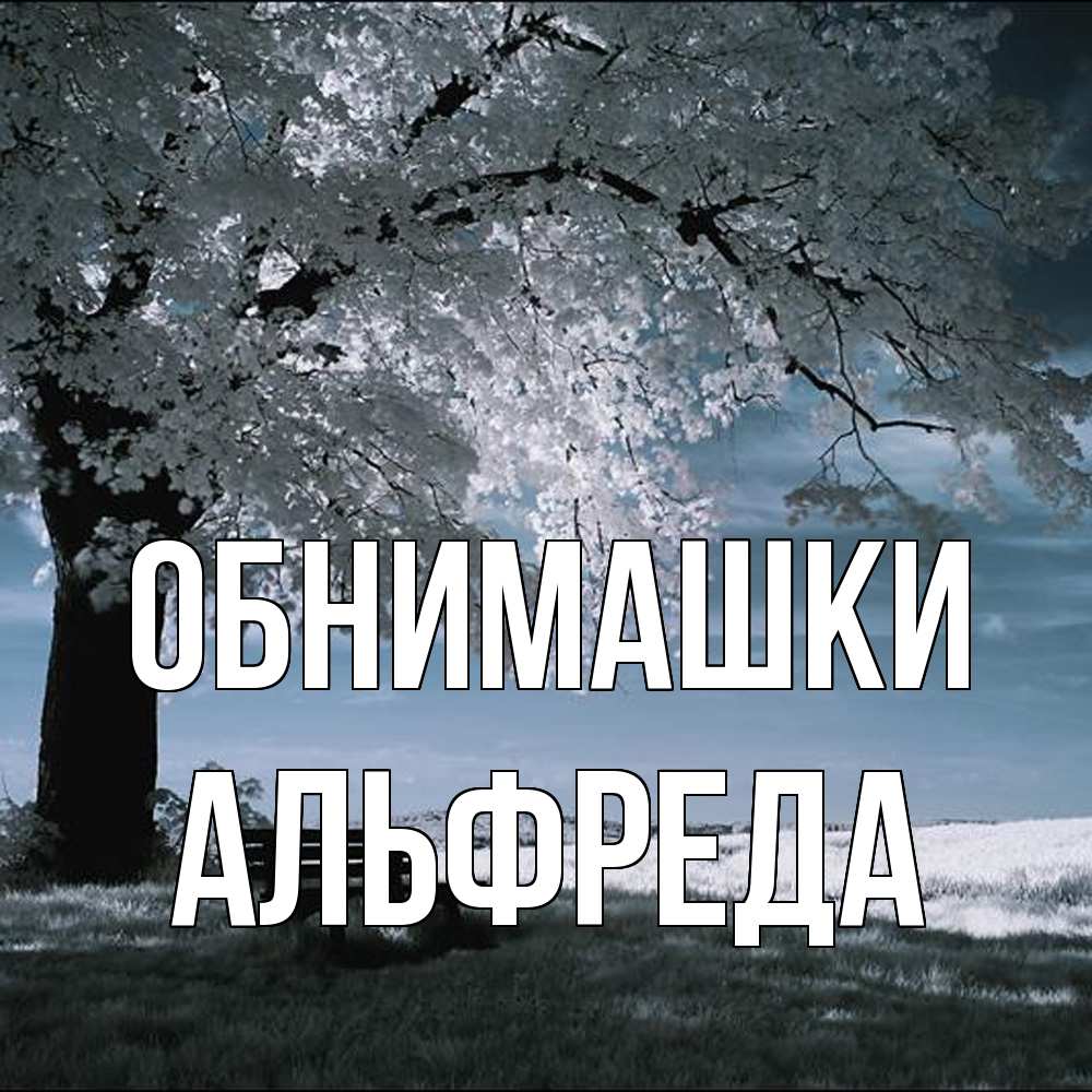 Открытка на каждый день с именем, Альфреда Обнимашки дерево Прикольная открытка с пожеланием онлайн скачать бесплатно 