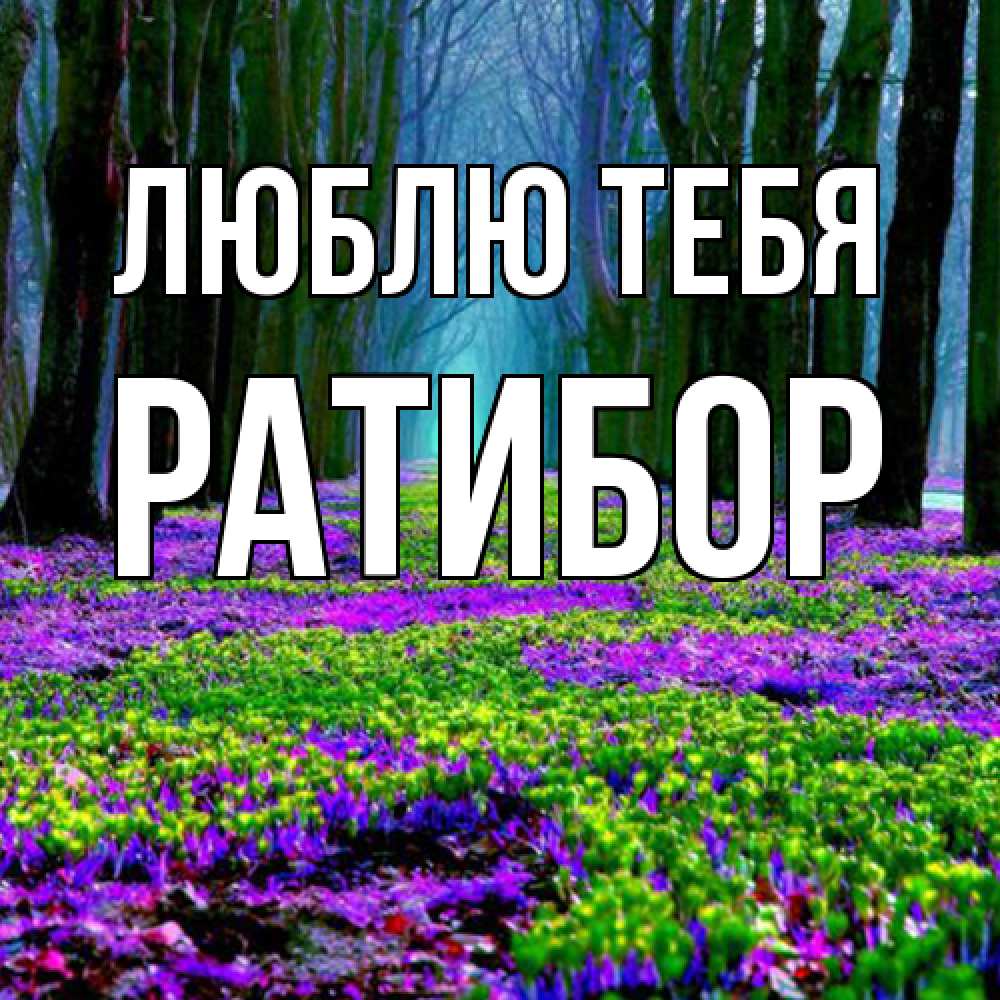Открытка на каждый день с именем, Ратибор Люблю тебя фиолетовые цветы в лесу 1 Прикольная открытка с пожеланием онлайн скачать бесплатно 