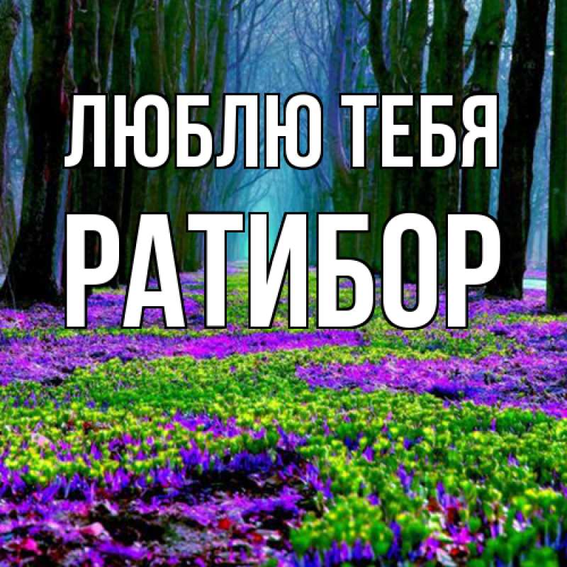 Картинка Люблю тебя, Ратибор