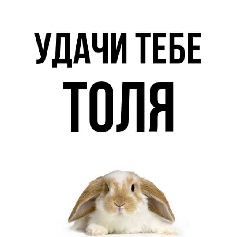 Картинка Удачи тебе, Толя