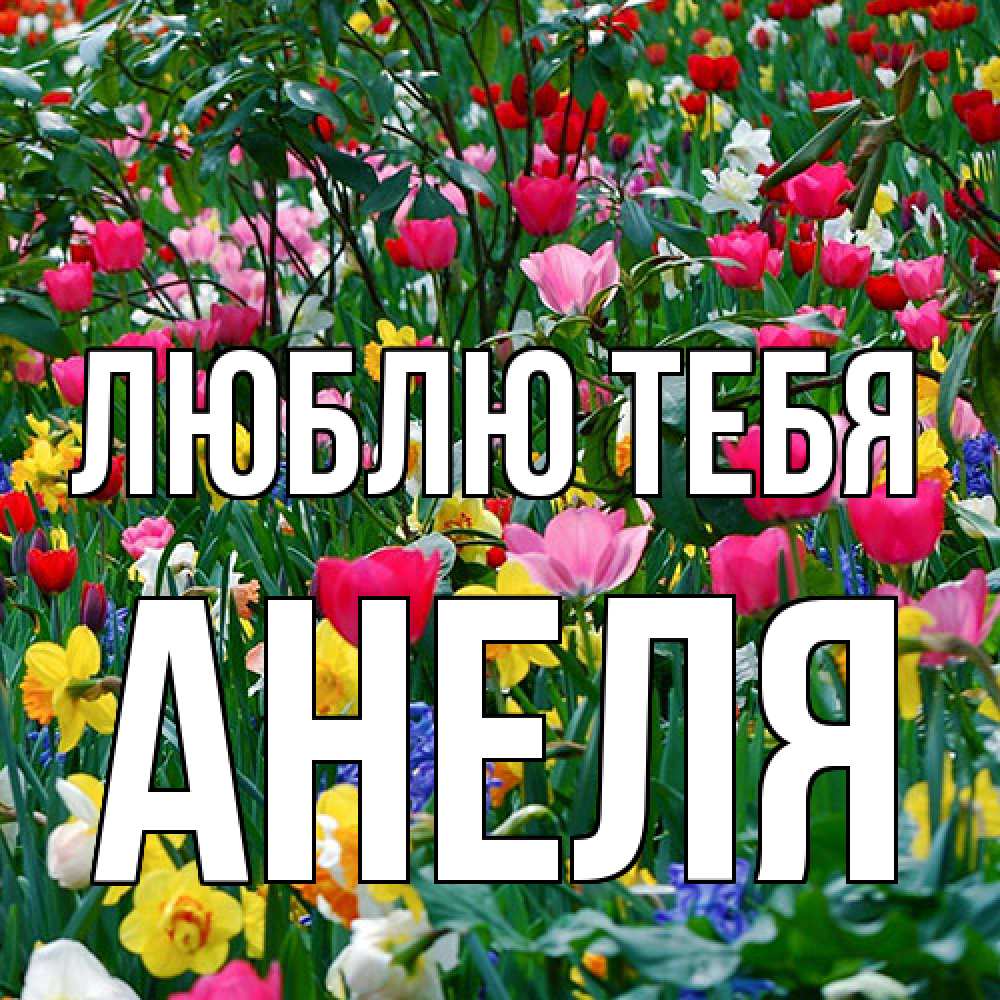 Открытка на каждый день с именем, Анеля Люблю тебя с международным женским днем поздравления для женщины Прикольная открытка с пожеланием онлайн скачать бесплатно 