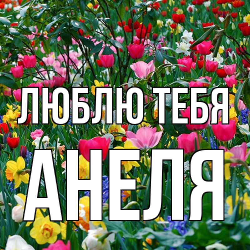 Картинка Люблю тебя, Анеля