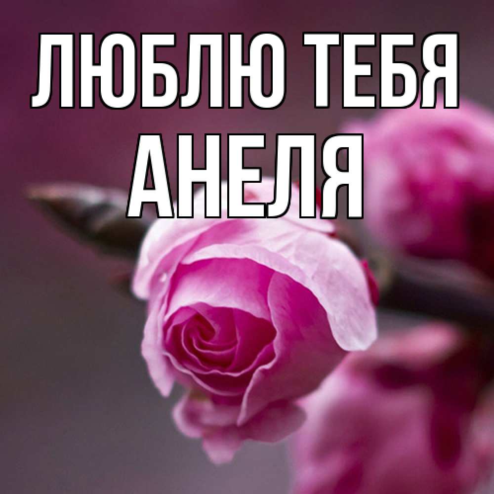 Открытка на каждый день с именем, Анеля Люблю тебя весна Прикольная открытка с пожеланием онлайн скачать бесплатно 