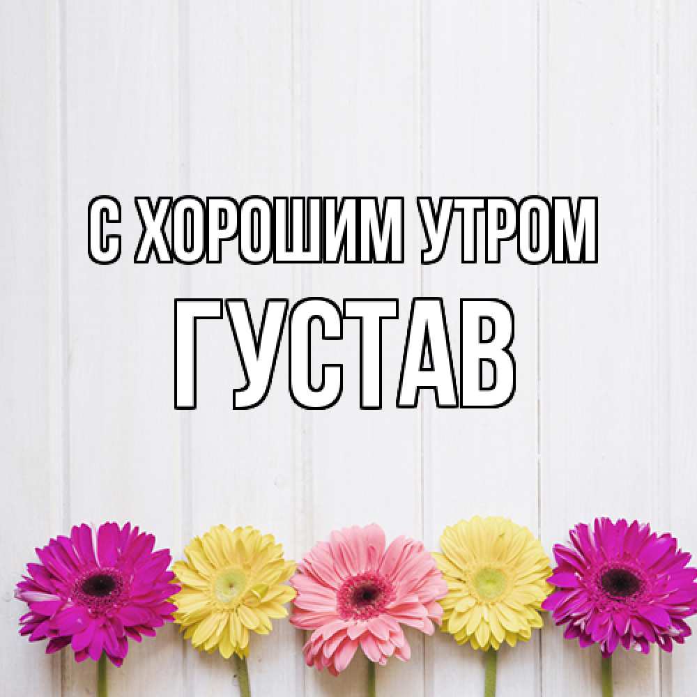 Открытка на каждый день с именем, Густав С хорошим утром красный желтый и розовый цветок Прикольная открытка с пожеланием онлайн скачать бесплатно 