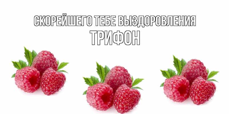 Картинка Скорейшего тебе выздоровления, Трифон