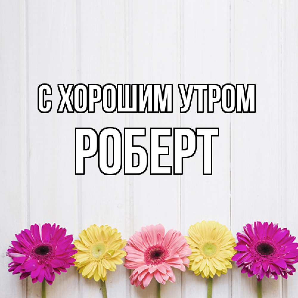 Открытка на каждый день с именем, Роберт С хорошим утром красный желтый и розовый цветок Прикольная открытка с пожеланием онлайн скачать бесплатно 