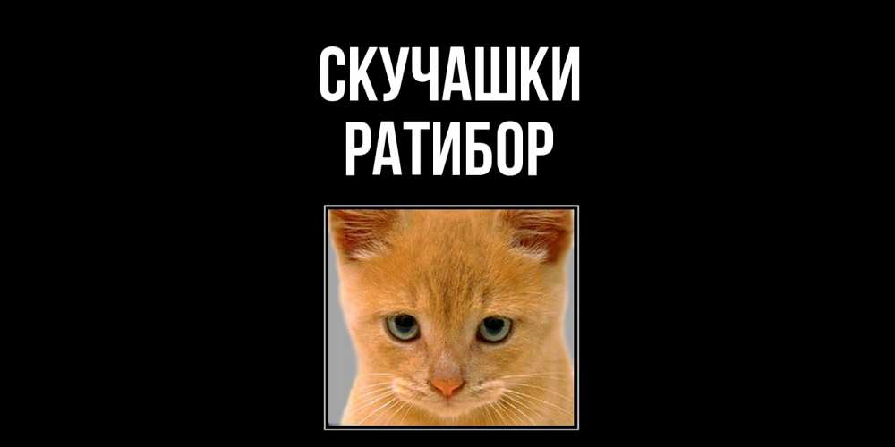 Открытка на каждый день с именем, Ратибор Скучашки открытки рыжий котенок скучает по тебе Прикольная открытка с пожеланием онлайн скачать бесплатно 