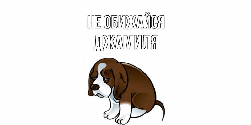 Картинка Не обижайся, Джамиля