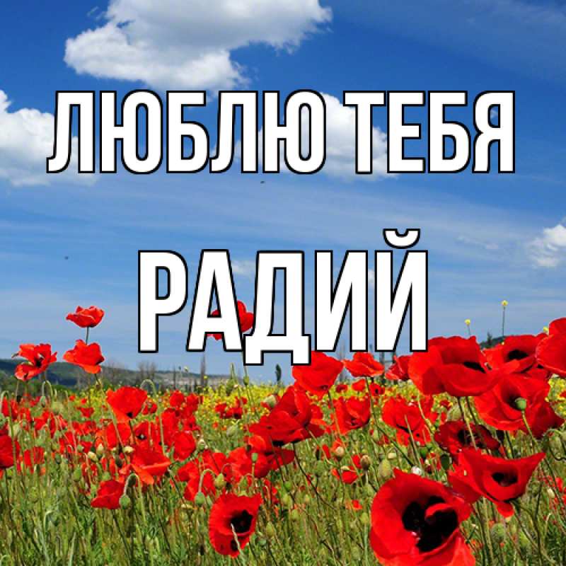 Картинка Люблю тебя, Радий