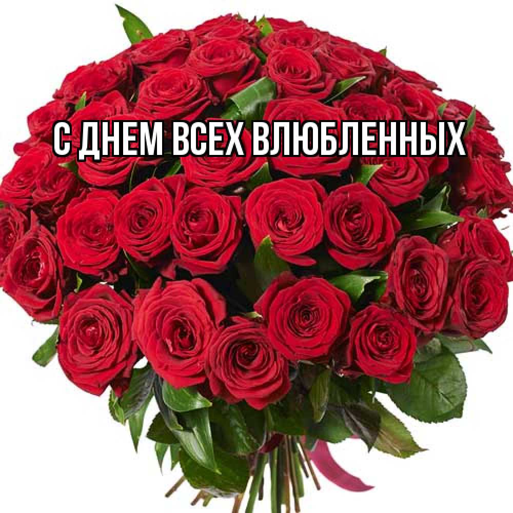 Открытка на каждый день с именем, Шакира Большое спасибо букет красных роз Прикольная открытка с пожеланием онлайн скачать бесплатно 