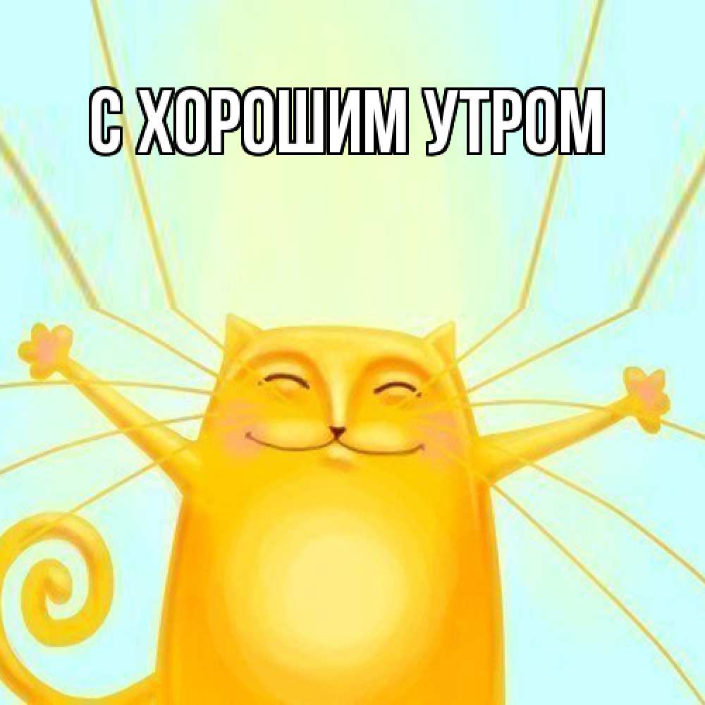 Открытка на каждый день с именем, Тамаз Обнимашки солнечный обнимашечный кот Прикольная открытка с пожеланием онлайн скачать бесплатно 