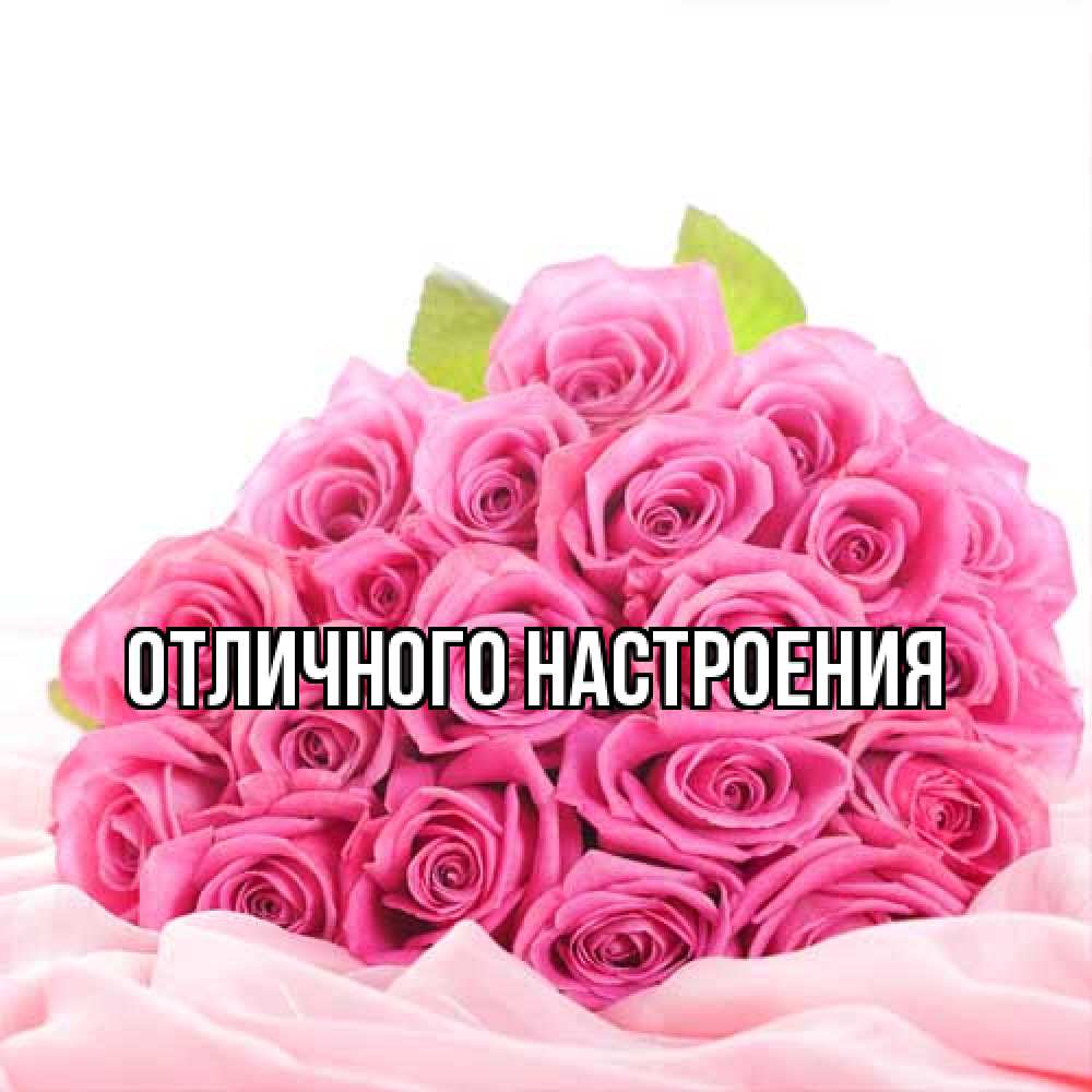 Открытка на каждый день с именем, Лида Большое спасибо розовые розы с подписью Прикольная открытка с пожеланием онлайн скачать бесплатно 