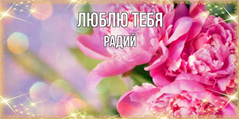 Картинка Люблю тебя, Радий