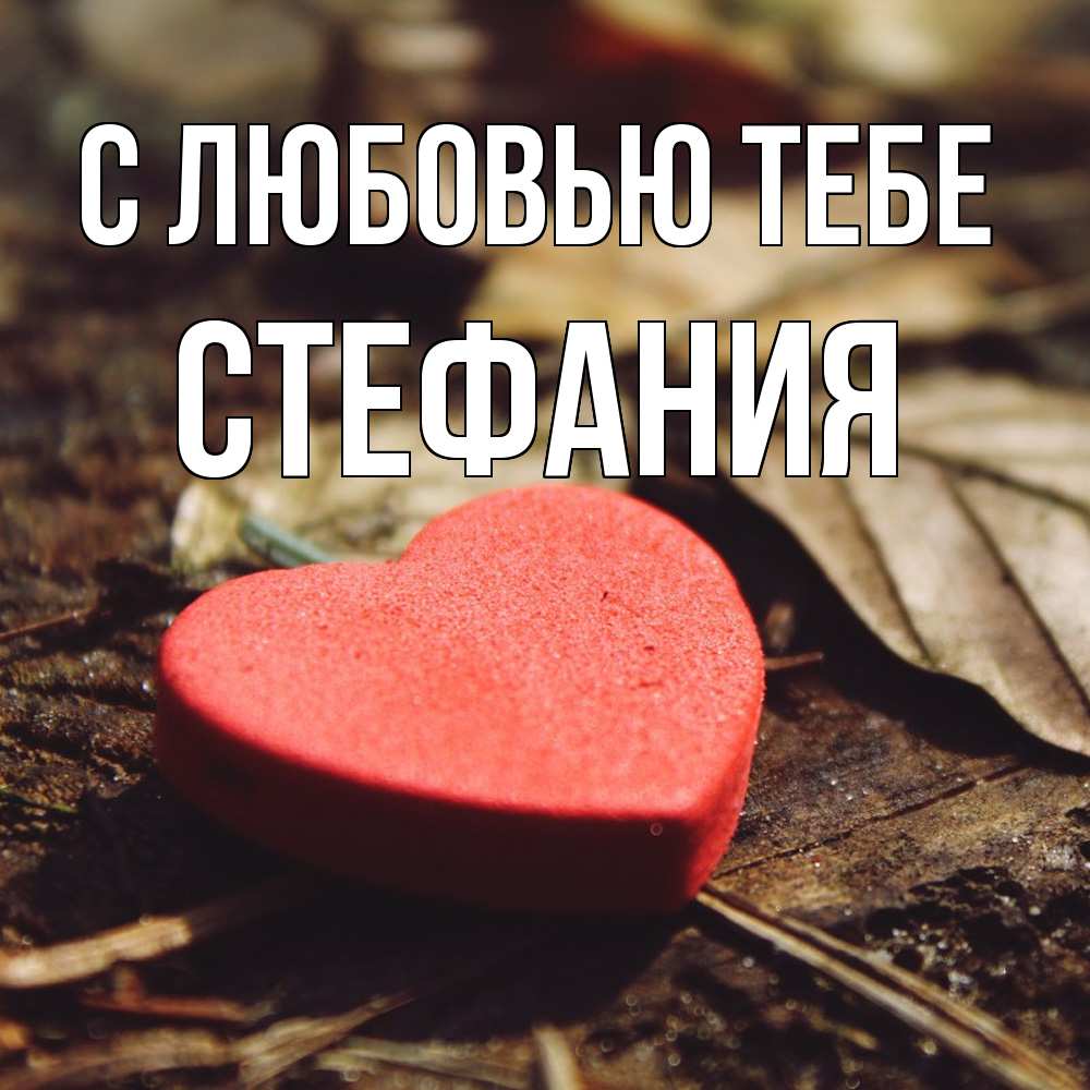 Открытка на каждый день с именем, Стефания С любовью тебе листья деревье 4 Прикольная открытка с пожеланием онлайн скачать бесплатно 
