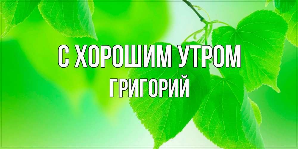Открытка на каждый день с именем, Григорий С хорошим утром доброе утро с березовыми листьями Прикольная открытка с пожеланием онлайн скачать бесплатно 