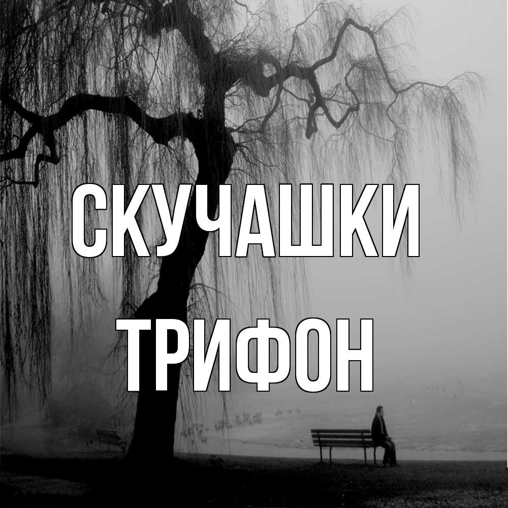 Открытка на каждый день с именем, Трифон Скучашки лавочка под деревом я жду тебя Прикольная открытка с пожеланием онлайн скачать бесплатно 