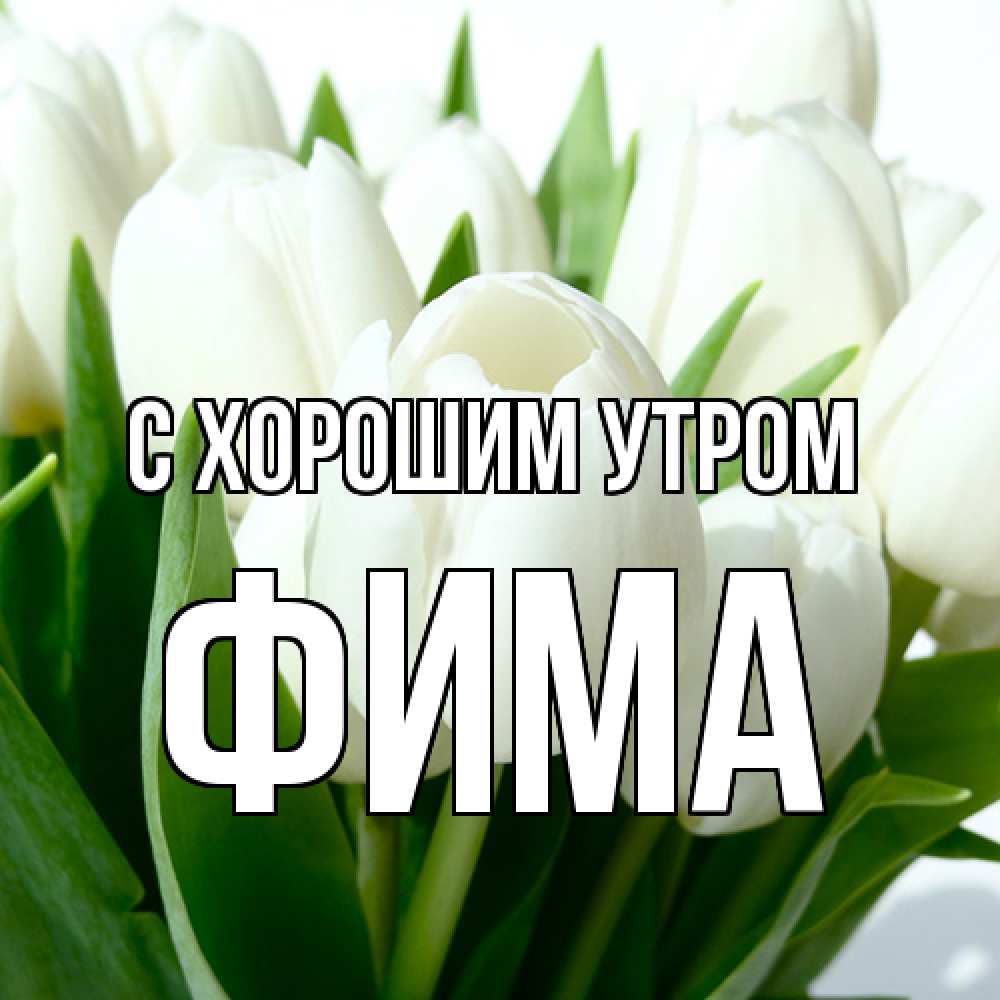 Открытка на каждый день с именем, Фима С хорошим утром открытки на каждый день по именам Прикольная открытка с пожеланием онлайн скачать бесплатно 