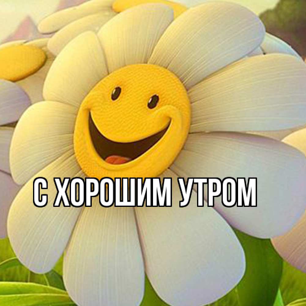 Открытка на каждый день с именем, Ждан Удачи тебе подписать открытку своим текстом Прикольная открытка с пожеланием онлайн скачать бесплатно 