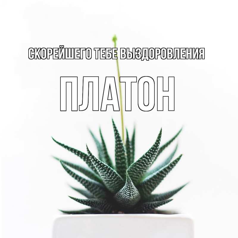 Открытка с именем, Платон, Скорейшего тебе выздоровления