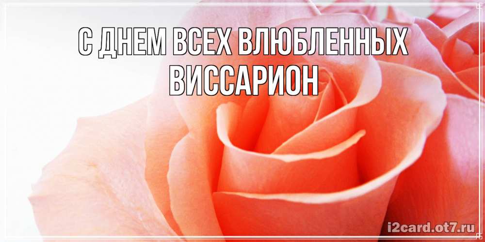 Открытка на каждый день с именем, Виссарион С днем всех влюбленных открытка на день Святого Валентина с розовой розой Прикольная открытка с пожеланием онлайн скачать бесплатно 