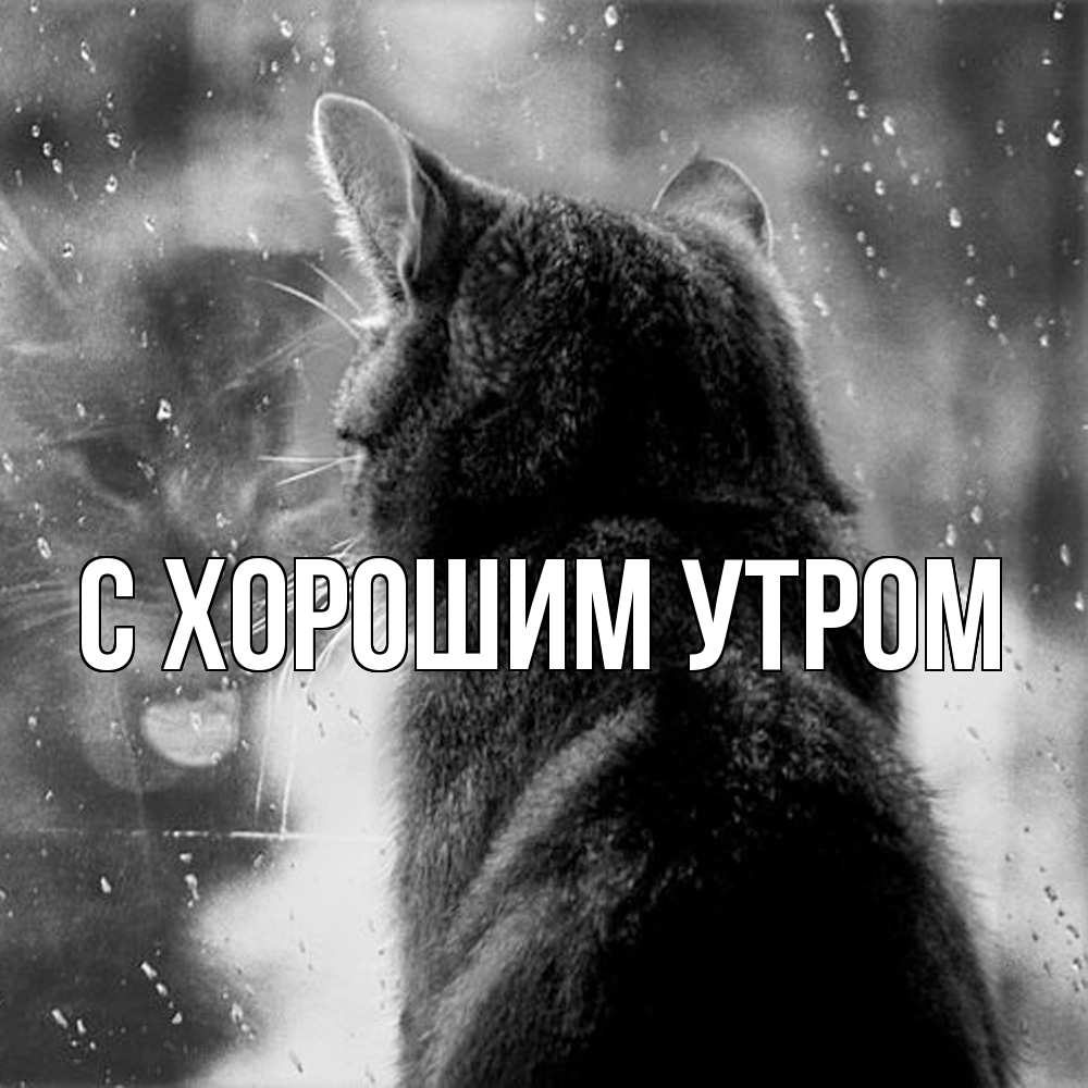 Открытка на каждый день с именем, Трифон Скучашки скорее ко мне приходи 1 Прикольная открытка с пожеланием онлайн скачать бесплатно 