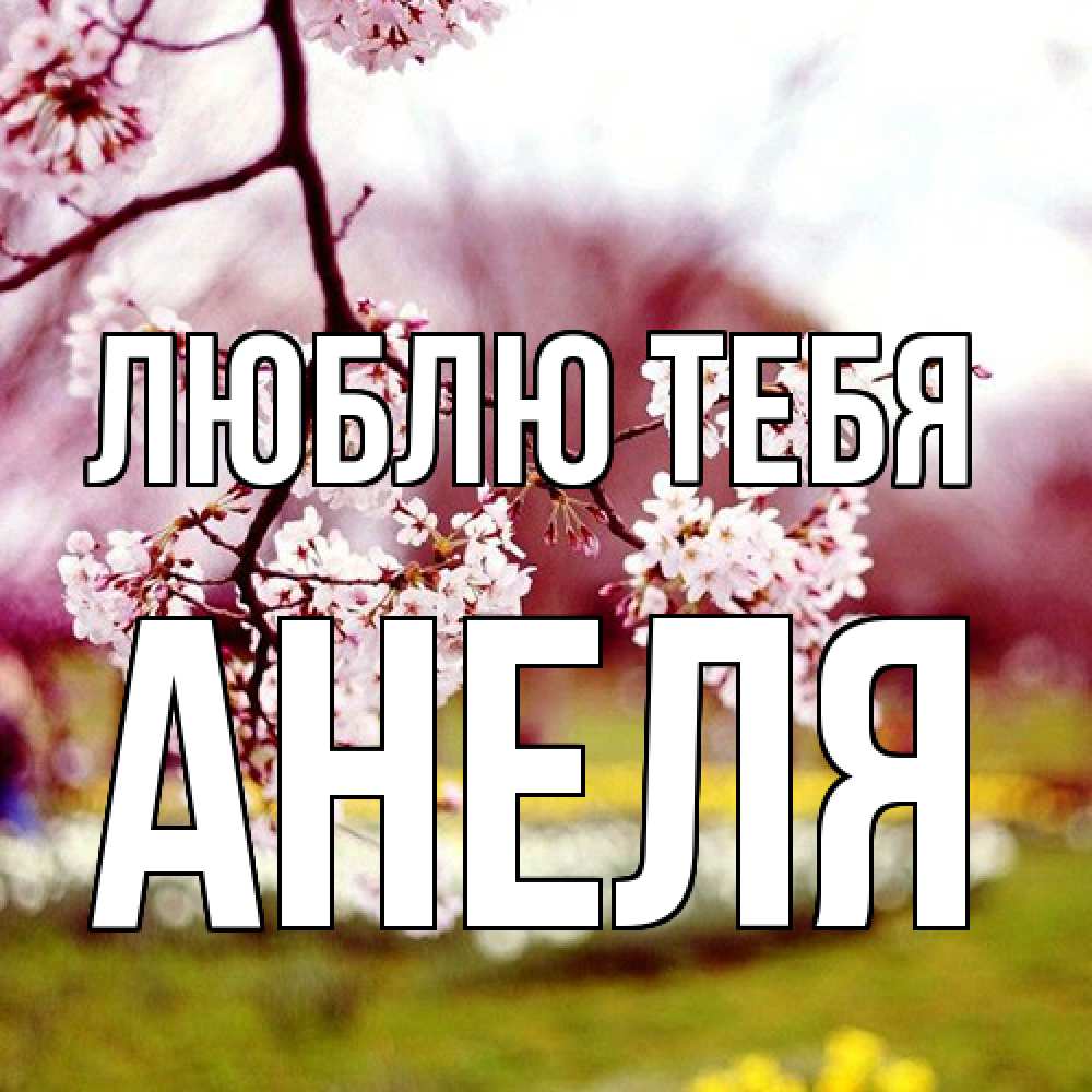 Открытка на каждый день с именем, Анеля Люблю тебя яблоня Прикольная открытка с пожеланием онлайн скачать бесплатно 
