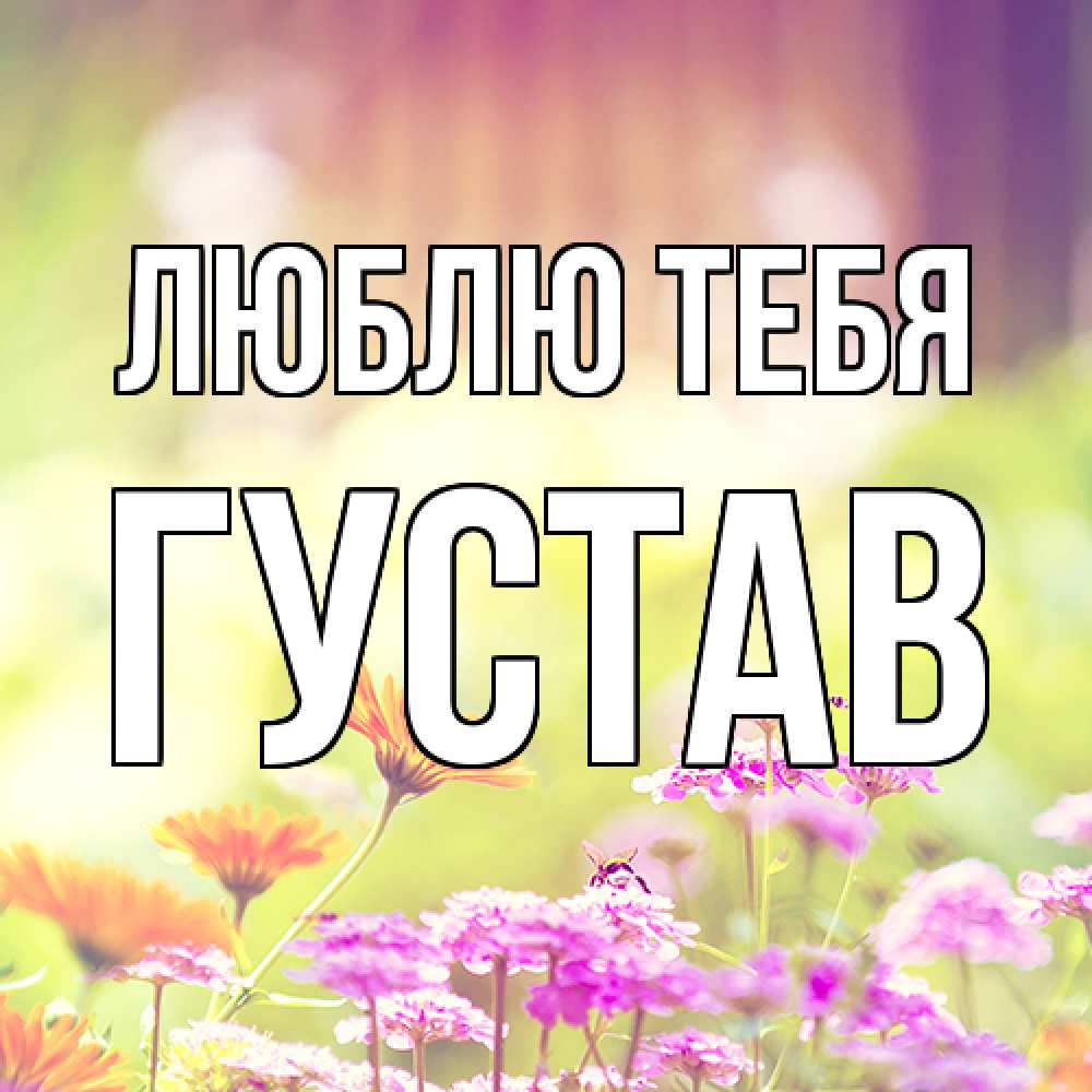 Открытка на каждый день с именем, Густав Люблю тебя цветы весна Прикольная открытка с пожеланием онлайн скачать бесплатно 