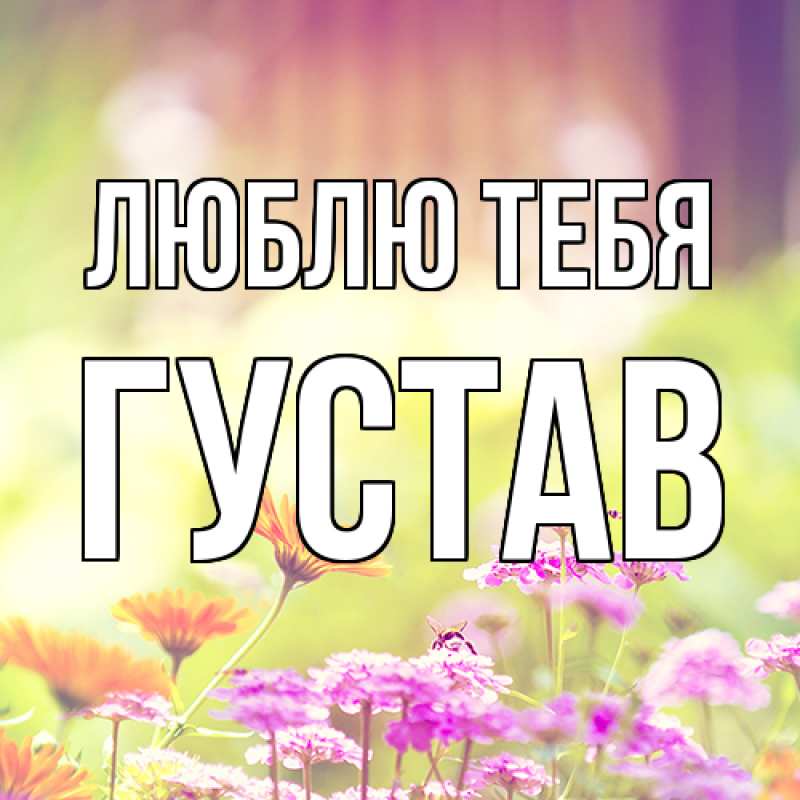 Картинка Люблю тебя, Густав