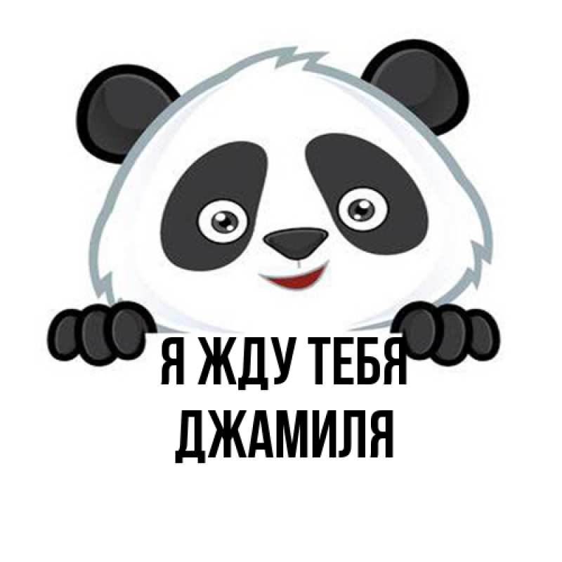 Картинка Я жду тебя, Джамиля