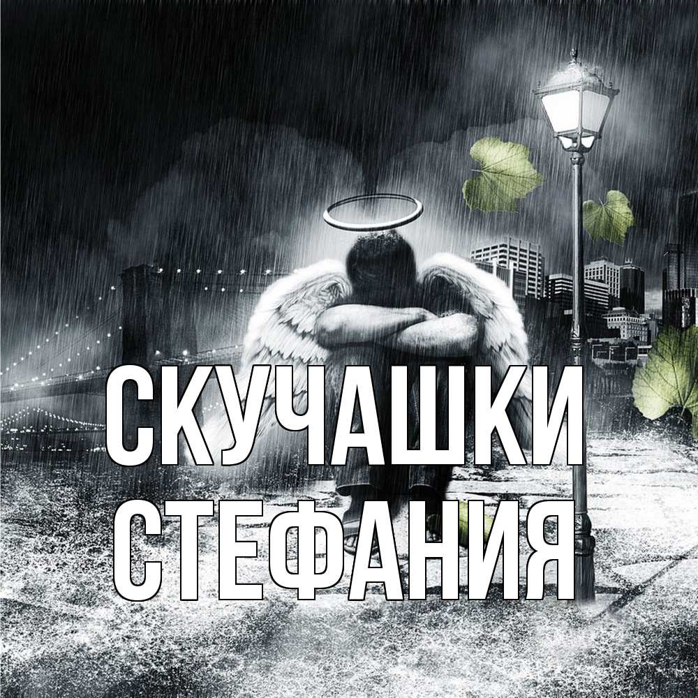 Открытка на каждый день с именем, Стефания Скучашки на улице Прикольная открытка с пожеланием онлайн скачать бесплатно 