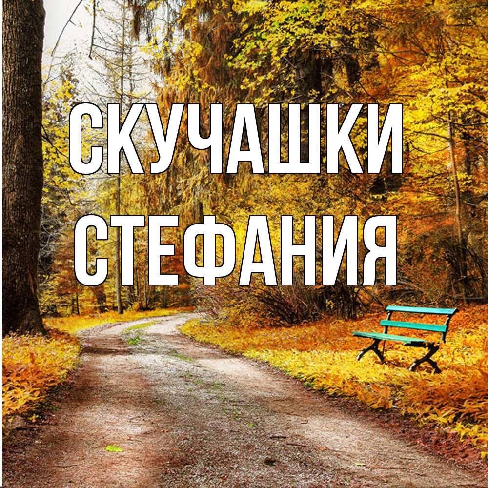 Открытка на каждый день с именем, Стефания Скучашки зеленая лавочка и осенний лес Прикольная открытка с пожеланием онлайн скачать бесплатно 
