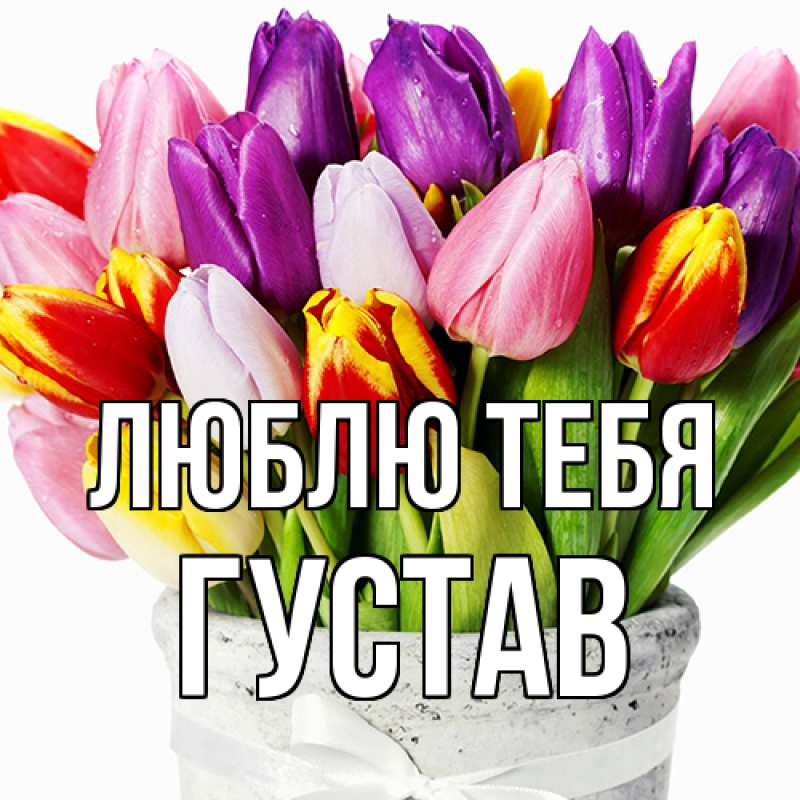 Картинка Люблю тебя, Густав