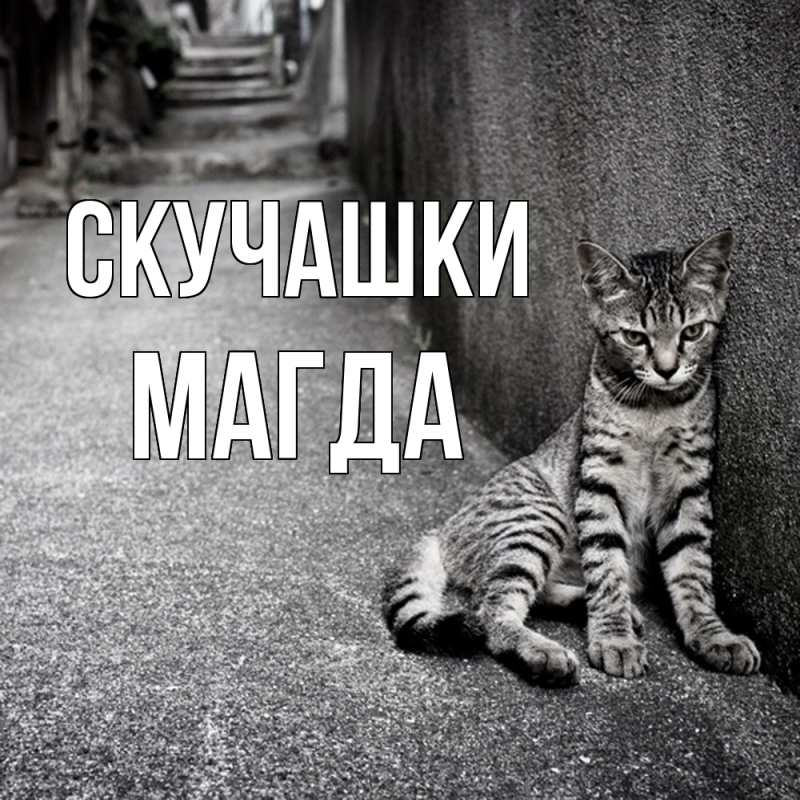 Картинка Скучашки, Магда
