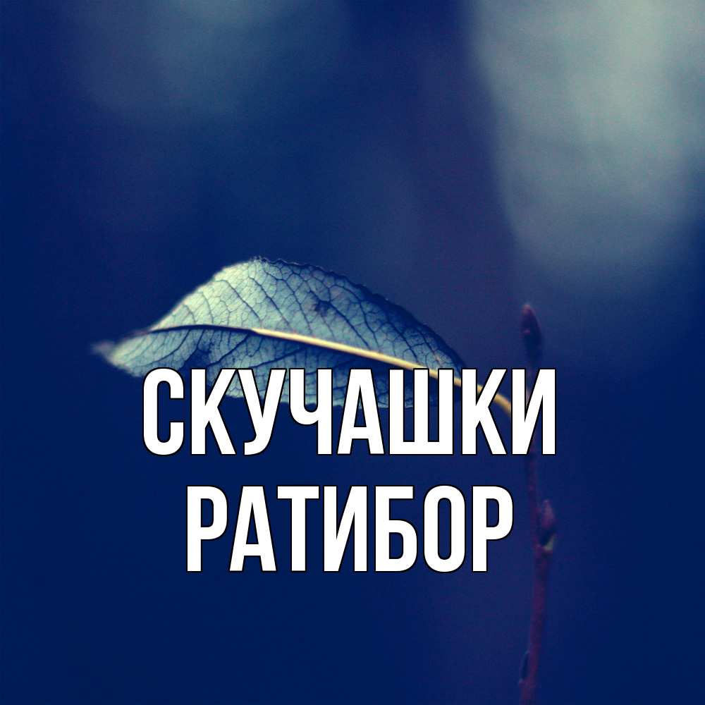 Открытка на каждый день с именем, Ратибор Скучашки одна ветка 1 Прикольная открытка с пожеланием онлайн скачать бесплатно 