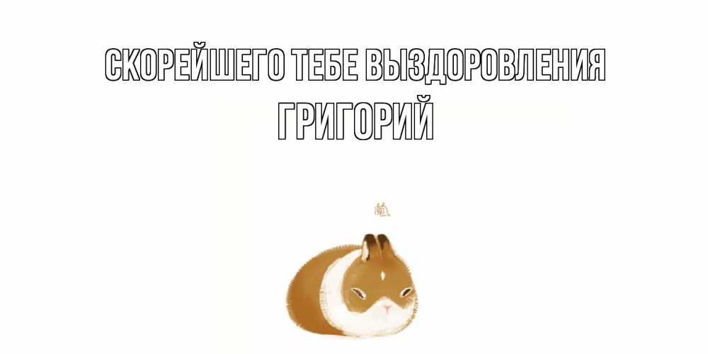 Открытка на каждый день с именем, Григорий Скорейшего тебе выздоровления морская свинка на открытке с пожеланиями не болеть Прикольная открытка с пожеланием онлайн скачать бесплатно 