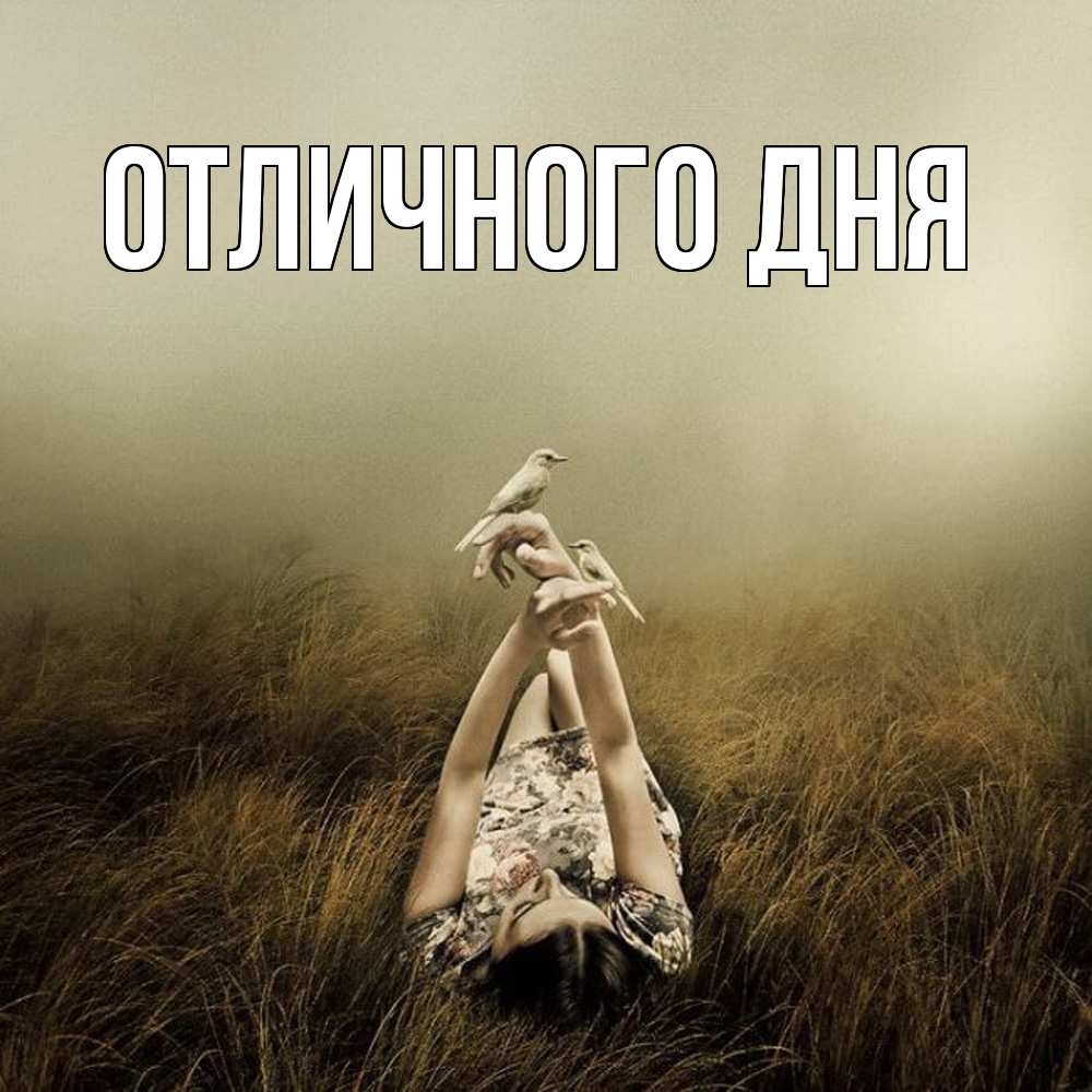 Открытка на каждый день с именем, Леся Скучашки девушка с голубями Прикольная открытка с пожеланием онлайн скачать бесплатно 