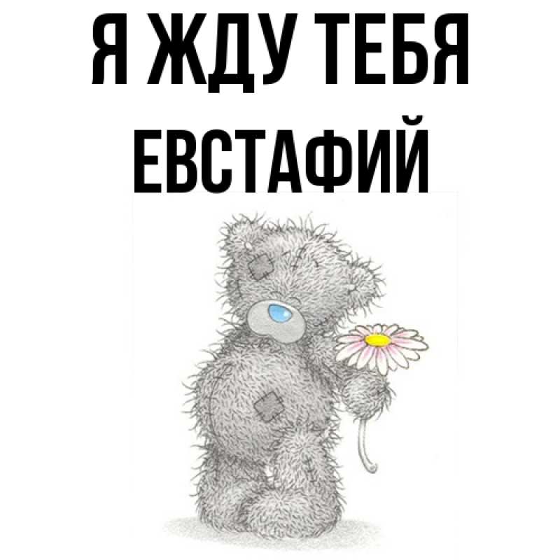 Картинка Я жду тебя, Евстафий