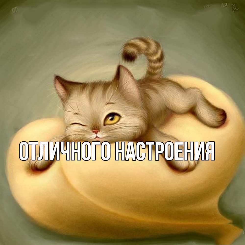 Открытка на каждый день с именем, Владислава Обнимашки кошечка Прикольная открытка с пожеланием онлайн скачать бесплатно 