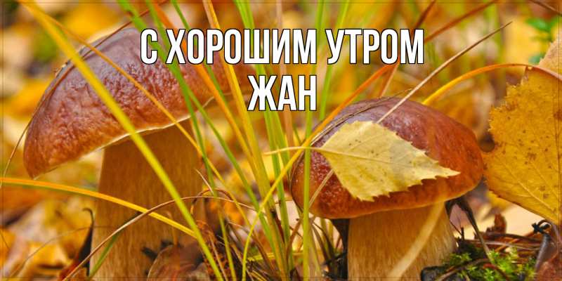 Картинка С хорошим утром, Жан