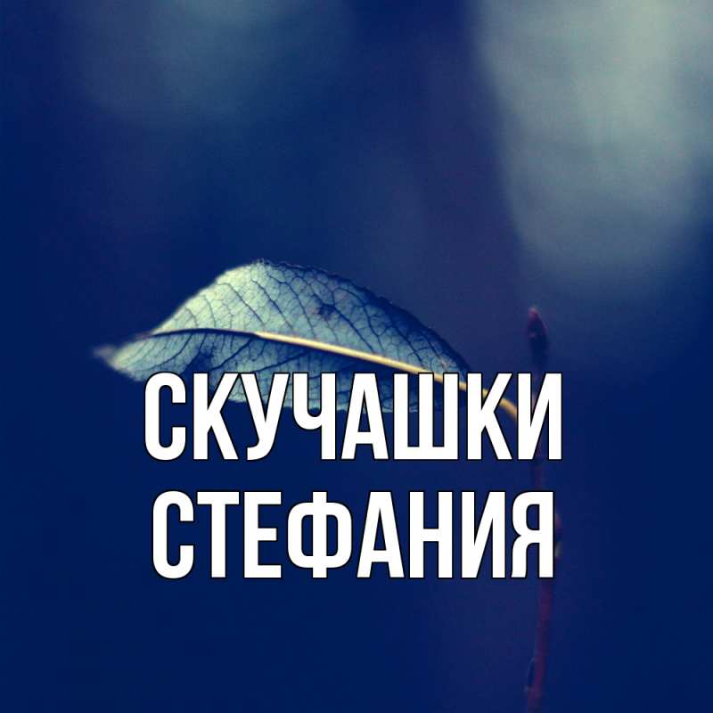 Картинка Скучашки, Стефания